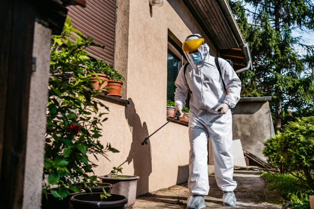 Best Local Pest Control Services  in USA